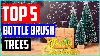 Athlete Statistics Top 5 Best Bottle Brush Trees