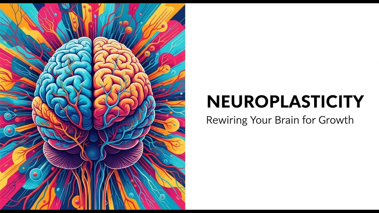 How to Rewire Your Brain (The Science of Neuroplasticity) - YouTube