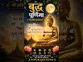 बुद्ध पूर्णिमा की शुभकामनाएं ✨🌕 बुद्ध पूर्णिमा स्पेशल 🙏शांति, प्रेम और ज्ञान का संदेश 🕊️#peace