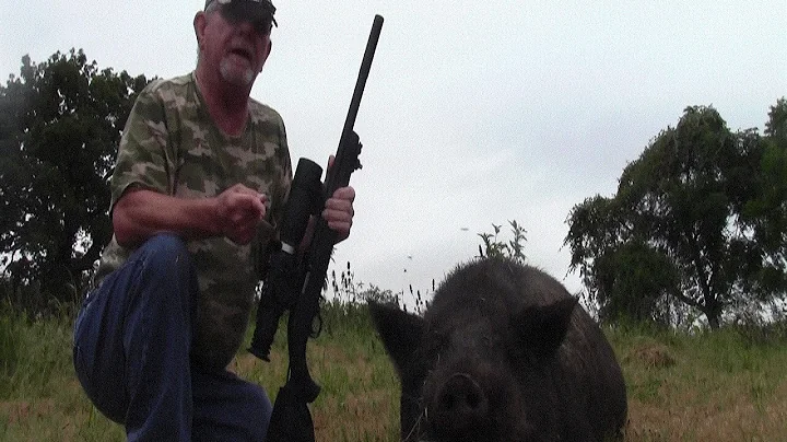 .22 LR SubSonic Vs. 400 lb Hog Hunt (Night Vision-Suppressed)