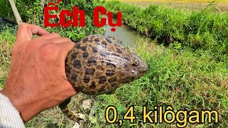 Th Thch Mt Ngy Kim 5kg ch ng  Giang Ca Sb  128