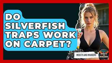 Do Silverfish Traps Work On Carpet? - Insects and Invaders