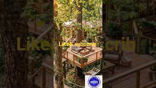 Modern Treehouse In Jungle | Building A Luxury Room On Tree