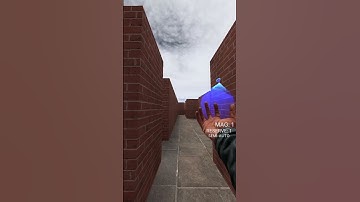 YOU CAN RUN BUT YOU CAN