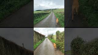 Exploring North Devon Coast AONB - Over The Years - BritishGirlExplores #BGEsquad