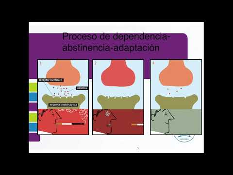 Vídeo: Optimización De La Producción Transplastómica De Hemicelulasas En Tabaco: Efectos De La Configuración De Casetes De Expresión Y Cultivares De Tabaco Utilizados Como Plataforma De P