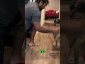 Dog Training Secrets: Teaching 'Hold' Like a Champion! #shorts