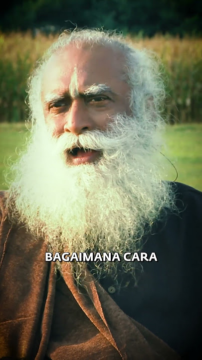 Merasa Bosan? Tonton Ini...