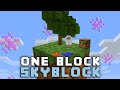 Minecraft Skyblock, But You Only Get ONE BLOCK...