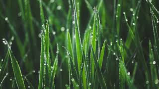 Water Sounds for Sleeping