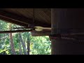 Tree-House Ceiling Fans Running