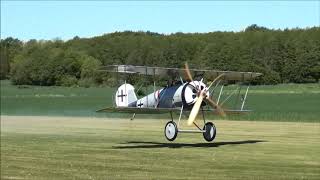 Mikael Carlson Pfalz D.VIII  Maiden Flight