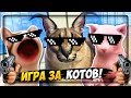 ИГРА за КОТОВ! Пять Ночей у ШЛЁПЫ! ПЕЛЬМЕНИ В ОПАСНОСТИ! ✅ Five nights at Floppa