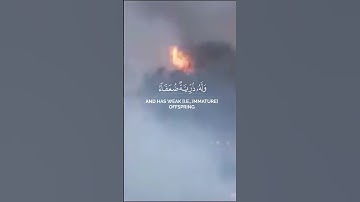 القرآن الكريم بصوت الشيخ محمد اللحيدان فأصابها إعصار فيه نار فاحترقت #القران #اكسبلور #دويتو #duet