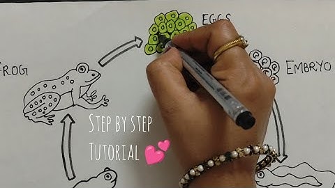 How to draw Life Cycle of Frog diagram drawing/ step by step science poster tutorial (easy )