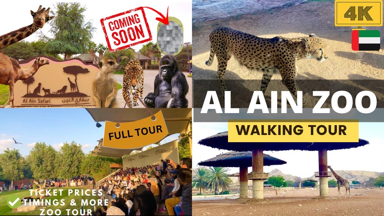 dubai safari park vs al ain zoo