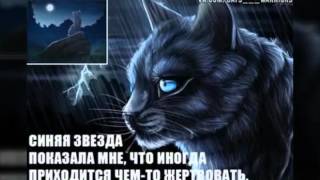 Чему меня научили коты-воители? Чему меня научили коты-воители?