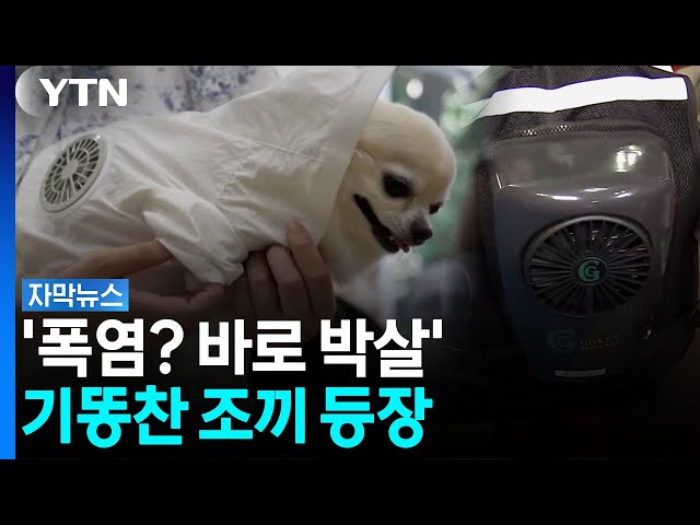 입소문 나며 붙티나게 팔리는 중...'더위 박살' 조끼 등장 [자막뉴스]  / YTN