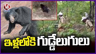 Sloth Bear Attacks Create Panic in Nizamabad Forest Areas  Villagers and Farmers Living in Fear V6