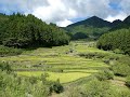 四谷の千枚田 Rice terraces, Yotsuya no senmaida, Aichi, Japan