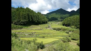 四谷の千枚田 Rice terraces, Yotsuya no senmaida, Aichi, Japan