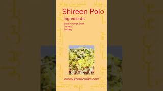 Shireen Polo