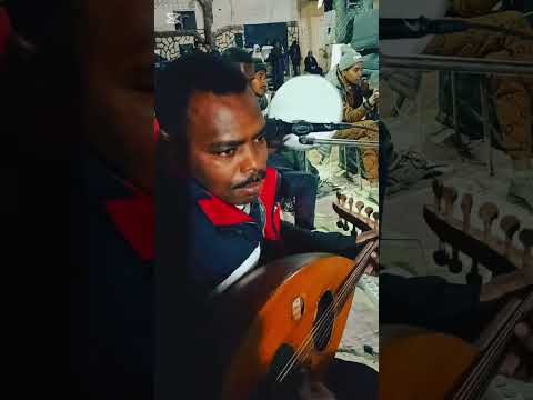 أغنية ديما ديما ساكنة في بالي ديما من أداء الفنان ناصر نعيمي والفنان بن نونة فريد