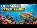 Peaceful Night Meditation and Tranquil Water Sounds for Healing Sleep