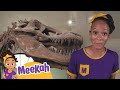 Blippi | Meekah’s Dino Discovery | Learning Videos For Kids | Education Show For Toddlers
