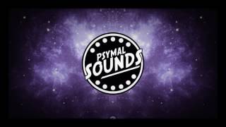 Guns N` Roses -  Shackler`s Revenge (Psymal Sounds Remix)