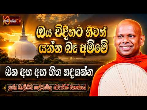 ඔය විදිහට නිවන්යන්න බෑ අම්මේ..| Ven. Welimada Saddaseela Thero | Daham PauraTVmp4