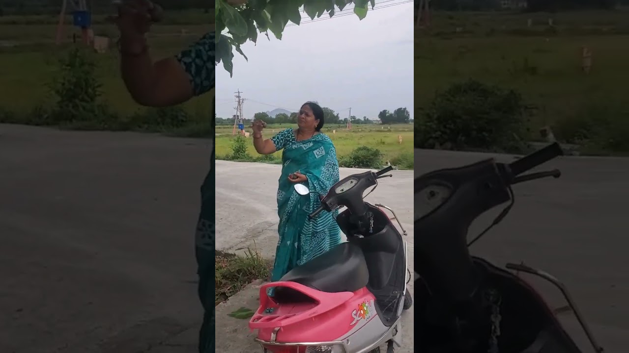 my channel professional plants aksa