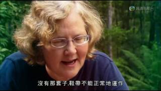 2014 02 16 1100 高清翡翠台 明珠推介 飛越長生