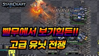 🔶빨무🔶 에서 보기 힘든 고급 유닛 전쟁!!  배틀크루저 캐리어!