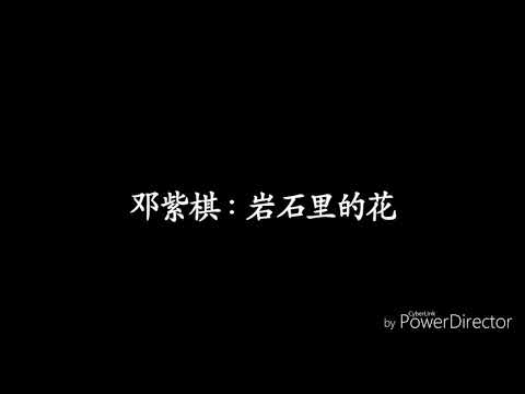 邓紫棋 《岩石里的花》