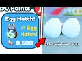 🥚 OMG..? Get FREE EGG HATCH in Pet Simulator X!