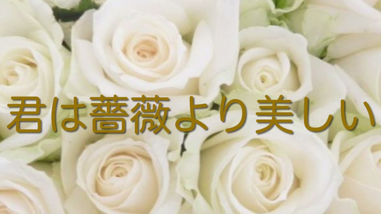 「君は薔薇より美しい」ASKA ／ASKAさんversion歌ってみた！