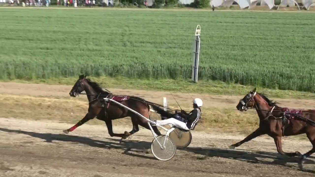 Trka "Opstina Velika Plana" 15.5.2022. Serial Killer NP- Boris Kecenovic