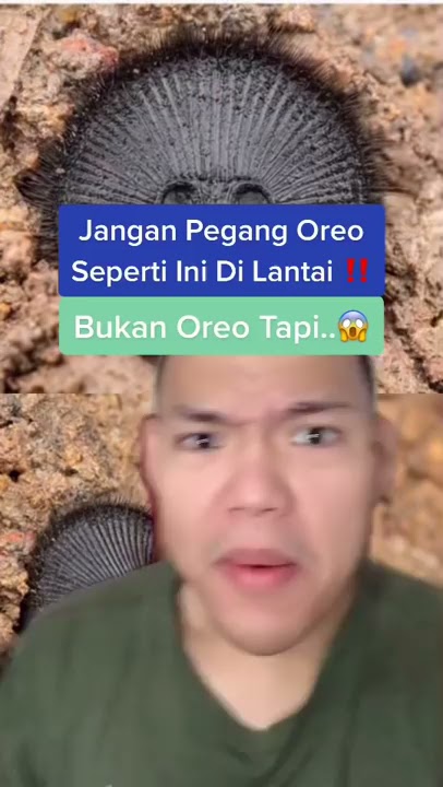 Jangan pegang oreo seperti ini di lantai ‼️ Ini bukan oreo tapi..⚠️😱 #Shorts #YouTubeShorts