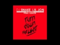 DJ Snake Feat Lil Jon & Pitbull & Ludacris (Remix)