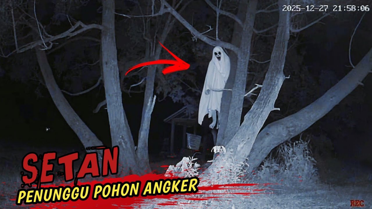 Penampakan menyeramkan hantu penunggu pohon angker‼️ kamera saya diamankan penjaga‼️