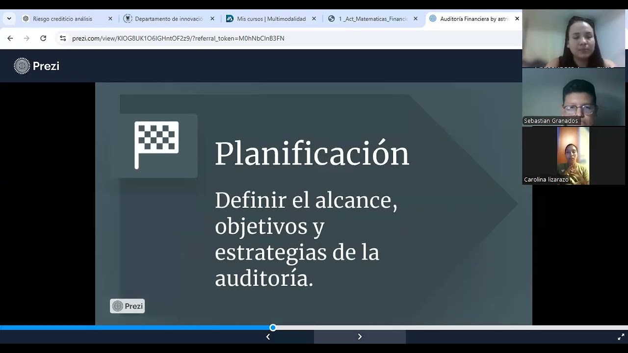 AUDITORIA FINANCIERA