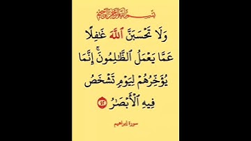 ولا تحسبن الله غافلا عما يعمل الظالمون #بصوت #الشيخ  #سعد الغامدي #duet تلاوة تريح القلب