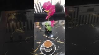 Bedirin Aslanlar Iran Koç Yigitleri 🇹🇷🇹🇷🇮🇷🇮🇷