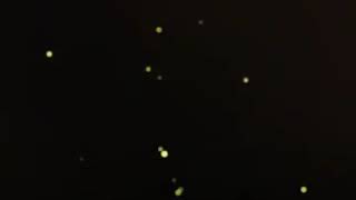 Taht Kurmuşsun Kalbime