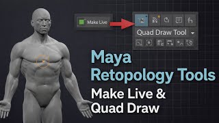 Maya Retopology Tools Explained – Make Live & Quad Draw Basics Net Worth