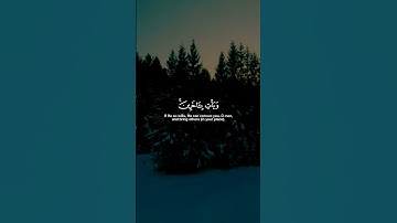 ياسر الدوسري - سورة النساء #quran #allah #الحمدلله #قرآن #allahuakbar #قران_كريم #مكة