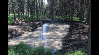 Building a Pond - Continued by From the Woods 201 views 1 year ago 11 minutes, 21 seconds