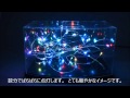 LEDストリングライトRGB自己点滅　点灯動画