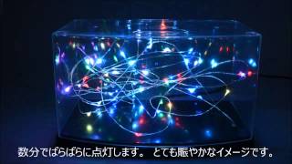 LEDストリングライトRGB自己点滅　点灯動画